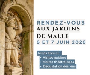 Je vous ai vu !